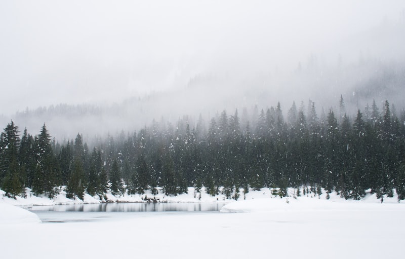 雪景
